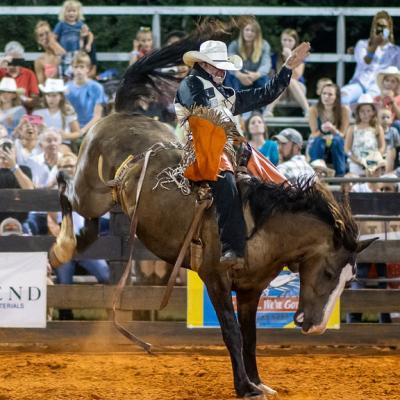 Watch a rodeo competition