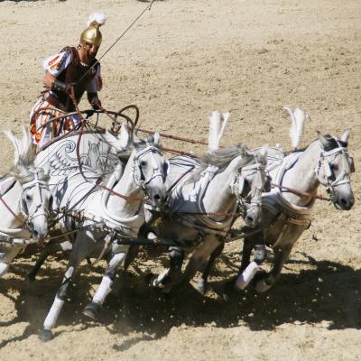 Watch a chariot race