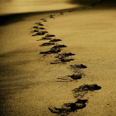 Follow random footprints on a beach