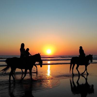Go horseback riding on the beach