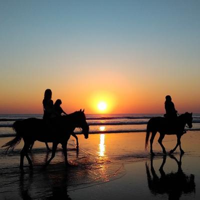 Ride a horse along the beach