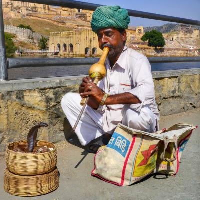 Watch a snake charmer