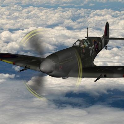 Fly in a spitfire jet