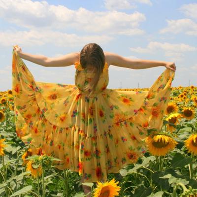 Stroll through a field of sunflowers
