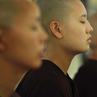 Meditate for 10 minutes a day, every day