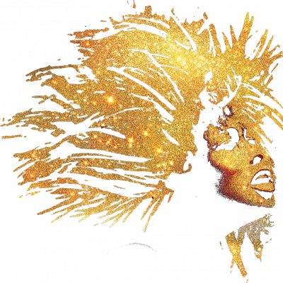 See Tina: The Musical Official Stage Musical