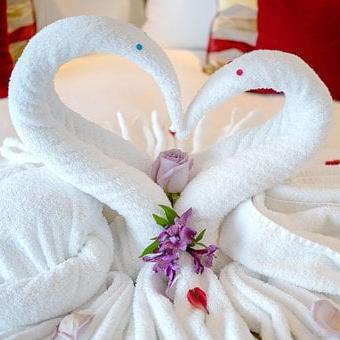 Towel origami