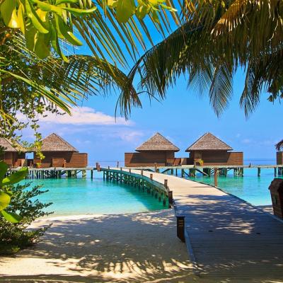 Sleep in an Overwater Bungalow