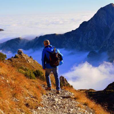 Walk among the clouds