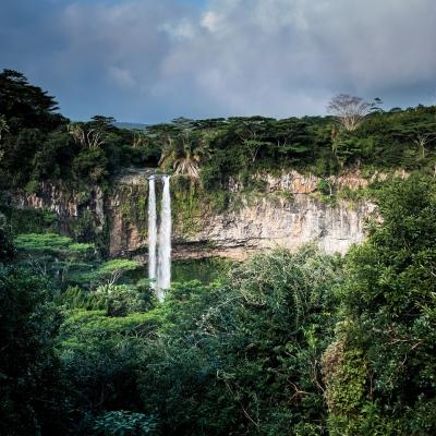Hike through a rainforest