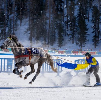 White Turf horse racing