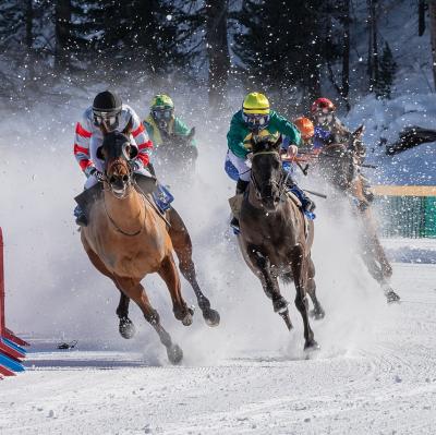 Watch horse racing on snow