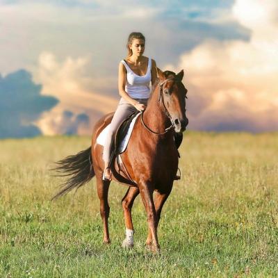 Learn to ride on a horse