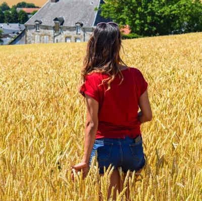 Stroll through a field of wheat
